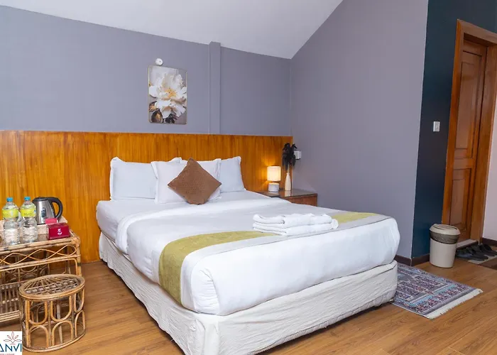 Hotel Saanvi & Restaurant 4*