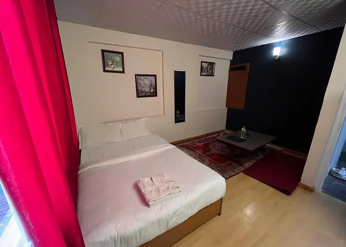 Saanvi & Restaurant Hotel 4*